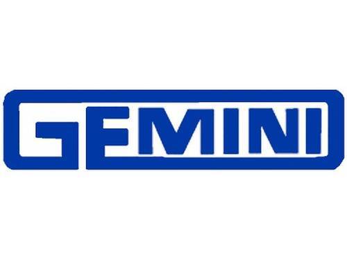 GEMINI