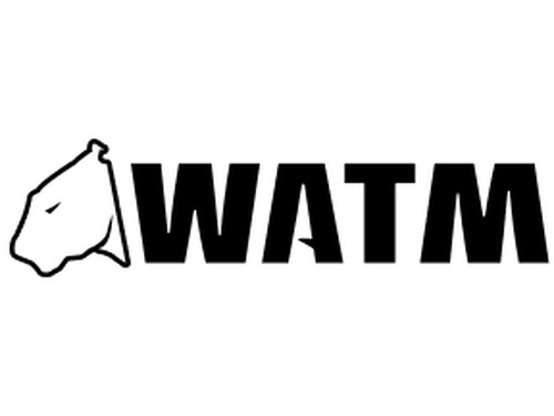 WATM Crane Sales and Services