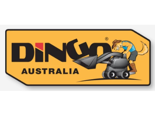 Dingo Australia