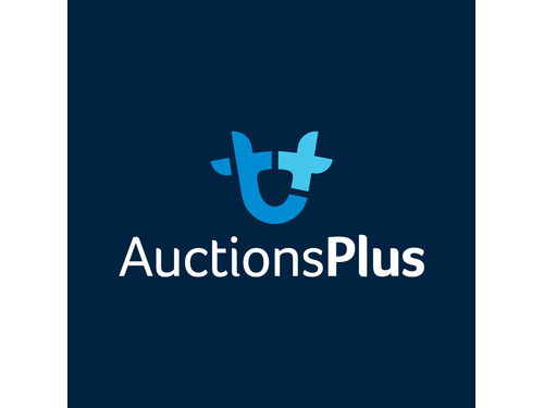 AuctionsPlus