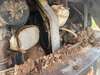 Kubota KX161-3 Excavator (Steel Tracked)