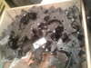 trencher chain , teeth , sprockets , tyres , spare parts , all new