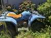 Yamaha Quad