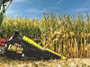 OLIMAC NEW DRAGO GT CORN HEAD 8 ROW 30" IN STOCK 