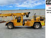 TEREX FRANNA AT20