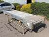 Inspection / Sorting Conveyor