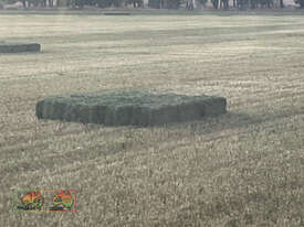 New Season 3rd Cut Quality Lucerne Hay ($/Bale) - picture1' - Click to enlarge