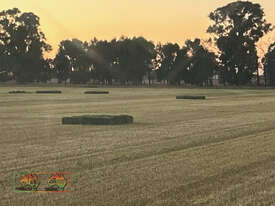 New Season 3rd Cut Quality Lucerne Hay ($/Bale) - picture2' - Click to enlarge
