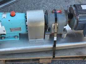 Stainless lobe pump 2.2kw BSM connections - picture0' - Click to enlarge