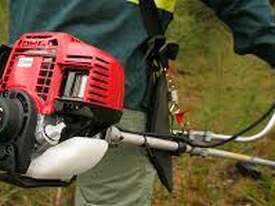 Bike Handle Brush Cutter UMK425 - picture0' - Click to enlarge