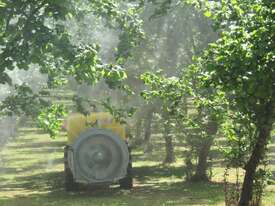 Tornado Airblast Sprayers - picture0' - Click to enlarge