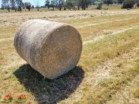 40x New Season HAY ~ Rolls of Oats & Vetch ($/bale) - picture4' - Click to enlarge
