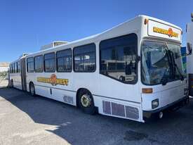 1987 MAN Commuter Bus - picture0' - Click to enlarge