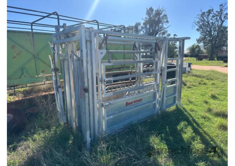 caption Red River Cattle Crush