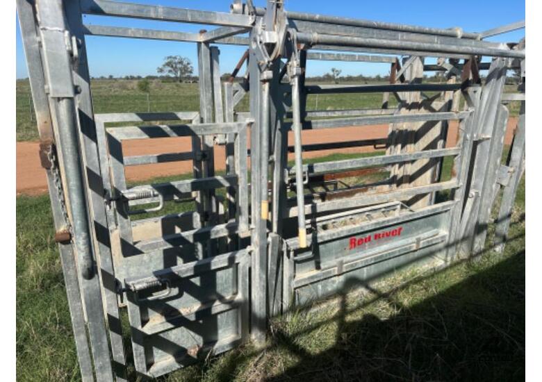 caption Red River Cattle Crush