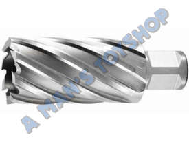 STEEL CUTTER 18MM X 25MM SLUGGER - picture0' - Click to enlarge