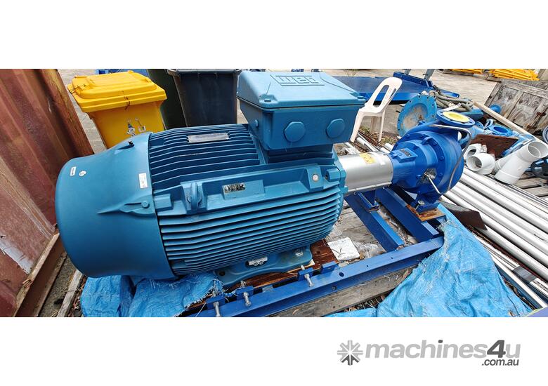 caption 4 Large pumps, one new never used.