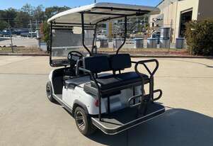 E Car E-Car LT-A2+2 Golf Cart