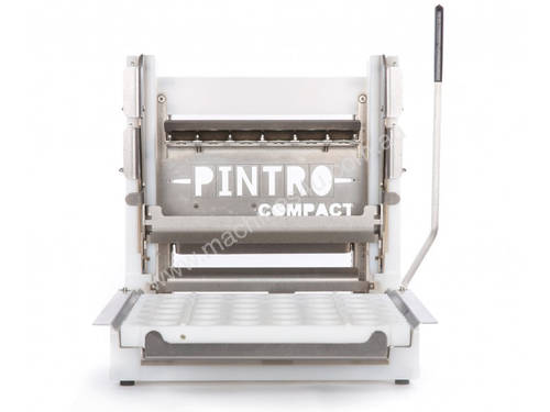 PINTRO P480 COMPACT