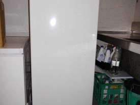 Upright Freezer, 183 lt - picture1' - Click to enlarge