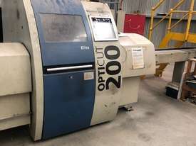 Used Optimising Saw Line + 4 Stackers - picture0' - Click to enlarge