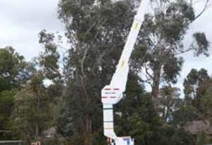 Insulated EWP Truck - 15 metre Nifty Lift - For Sale Insulated EWP Truck - 15 metre Nifty Lift - For Sale