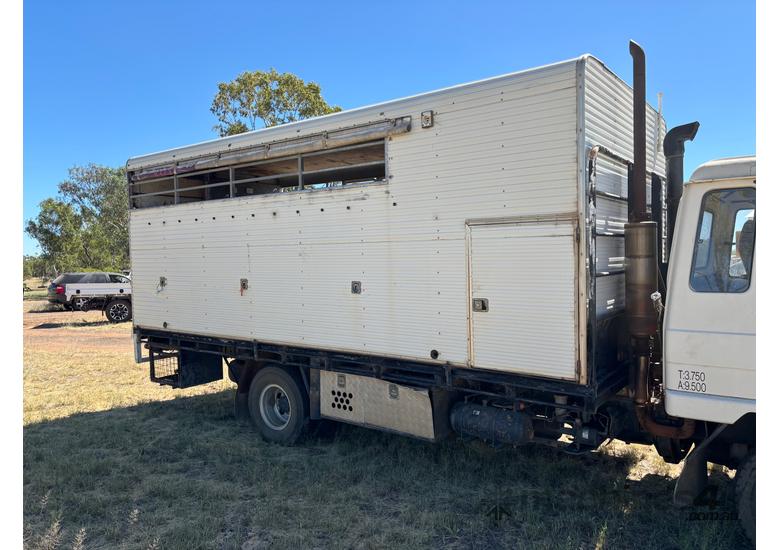 Truck Horse Body