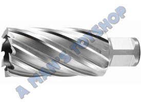 STEEL CUTTER 16MM X 50MM SLUGGER - picture1' - Click to enlarge