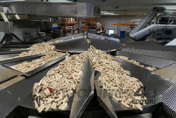 Multihead Weigher | Bilwinco