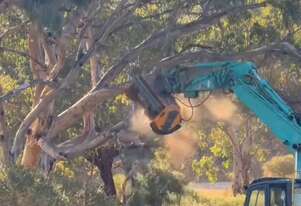 Femac T13 DF130 Forestry Mulcher for 10-16T Excavators