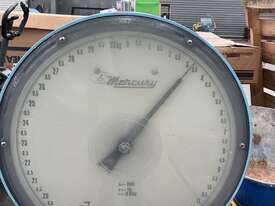 Mercury Platform Scales - picture1' - Click to enlarge