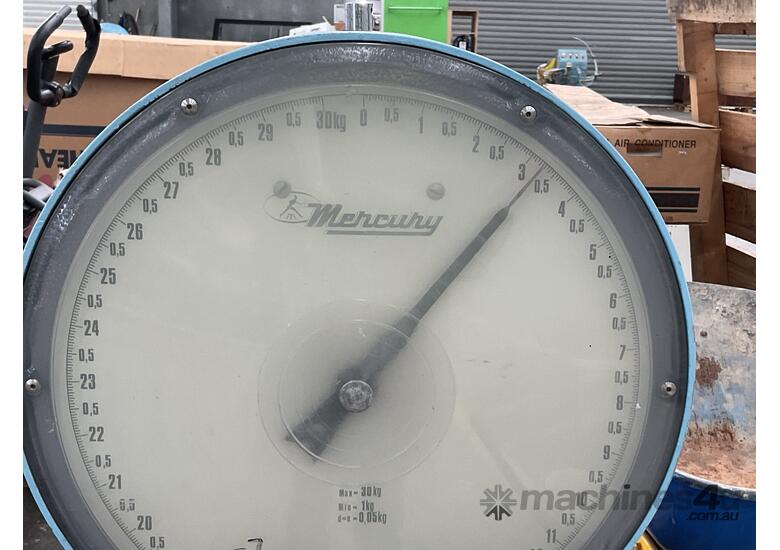 Mercury Platform Scales