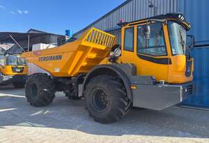 Bergmann 2022   C815S