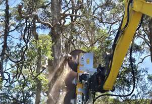 FEMAC BD3 Heavy Duty Multi-Saw for Excavators