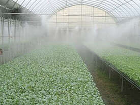 Fog mist watering pump machine - picture0' - Click to enlarge