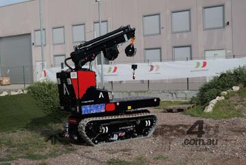 M-CRANE 1030 RT Crawler Crane - Pick & Carry Capable