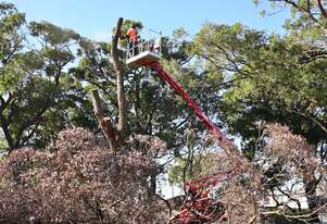 Cmc   S18FR-D - 18m Spider Lift