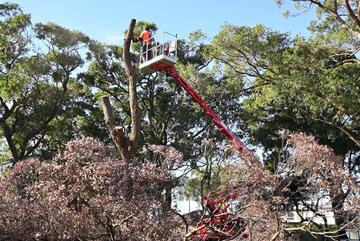 Cmc   S18FR-D - 18m Spider Lift