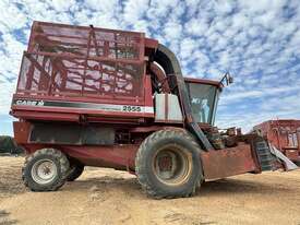 CASE IH 2555 PICKER  - picture2' - Click to enlarge