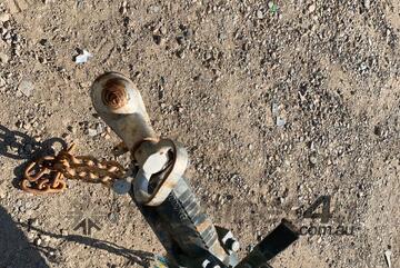 2019 Pit Master Single Axle Light Tower Trailer