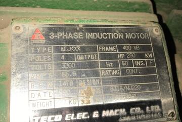250 kw 330 hp 4 pole 3300 volt AC Electric Motor