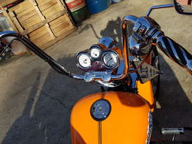 Panther Trike Wild Cat - picture1' - Click to enlarge