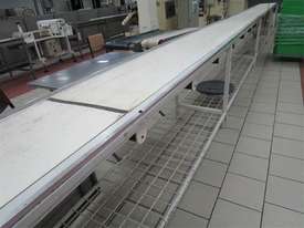 Conveyor 20mtr x 450mm continuous nylon belt - picture0' - Click to enlarge