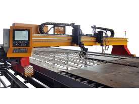 TAYOR CNCSG Gantry type Oxy or Plasma CNC Cutting Machines - picture1' - Click to enlarge