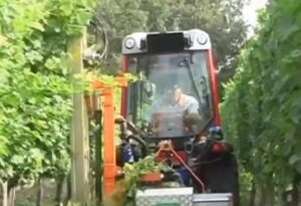 Farmliner Rinieri CRV Vision 2 Double Sided Trimmer/Pruner