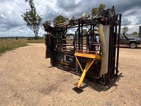 RPM Cattle Crush - picture0' - Click to enlarge