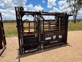 RPM Cattle Crush - picture1' - Click to enlarge