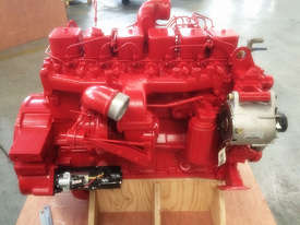  Cummins 6BT 5.9 12v 210HP 600nm Re-Manufactured P-Pump engine - picture2' - Click to enlarge