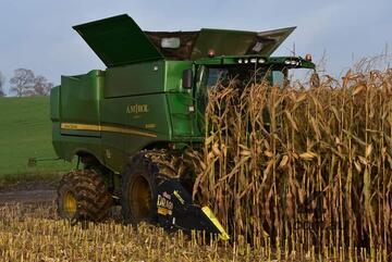 Olimac Drago GT Corn head 6 to 24 Rows, Australias Leading Brand!