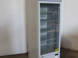 FED LG-570GTH Upright Fridge - picture0' - Click to enlarge